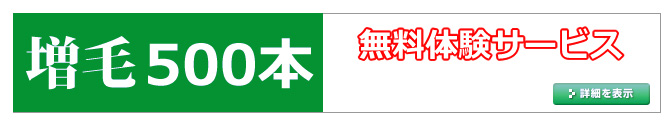 増毛体験キャンペーン