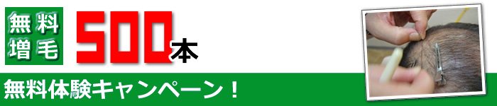 増毛500本無料キャンペーン案内